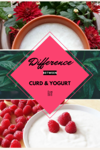 Read more about the article Curd, Yogurt, Greek Yogurt and their unique gut-friendly benefits