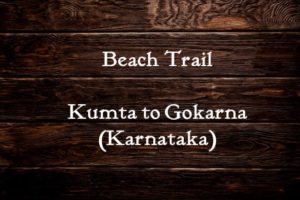 Beach Trail