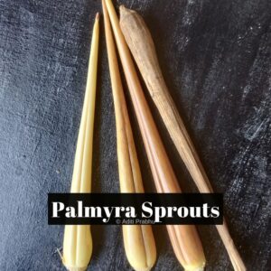 Read more about the article The lesser-known unique Palmyra Sprouts.