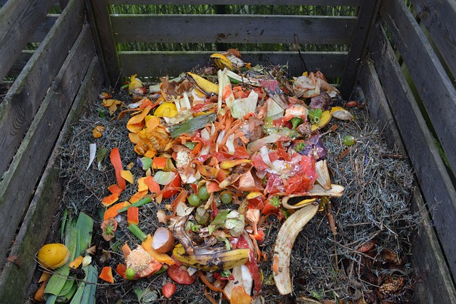 Scrap composting