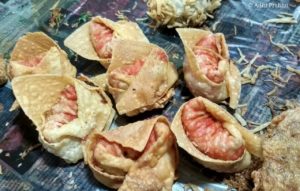 Wontons