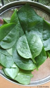 Malabar spinach