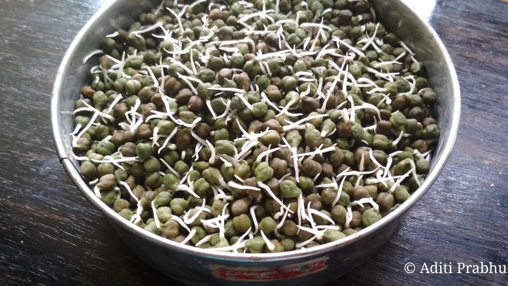 Sprouts