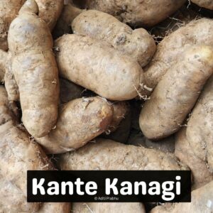 Read more about the article Kante Kanagi: A Hidden Gem in Local Nutrition