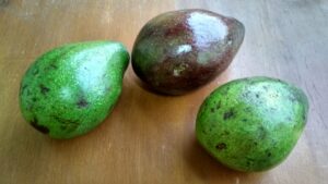 Read more about the article What makes the popular Avocado so versatile and healthy?