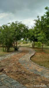 APTDC