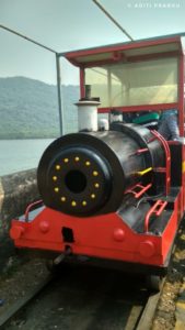 Mini Train Ride