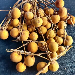 Read more about the article Longan and Its Powerful Health Benefits