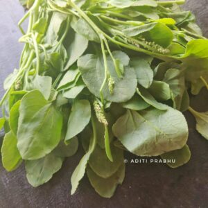 ambat chukka /sorrel
