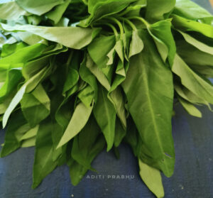 Read more about the article Nali Bhaji and its unique health benefits